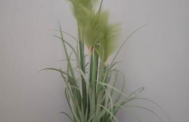 Appartement neuf et nouvelle top gestion, hyper calme, vue superbe mer et nature - Foto 48