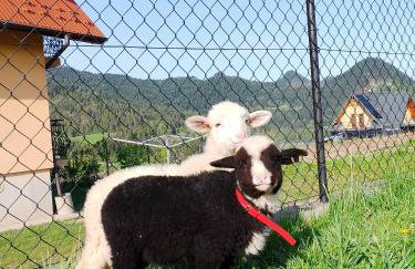 Agroturystyka Pod Zamczyskiem - Photo 11