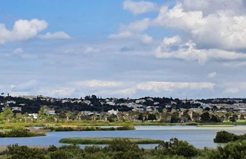 Casa Palmeria , Quinta da Saudade - Foto 15