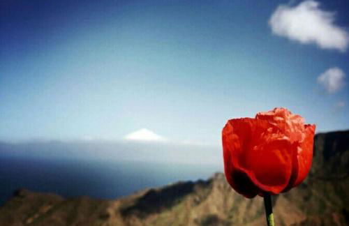 Casa La Bodega - Foto 11