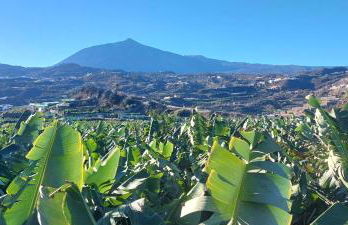 Casita Los Celajes - Foto 37