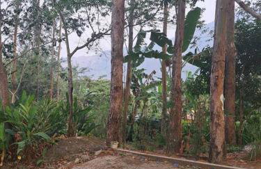 Imersão cascata - Foto 53