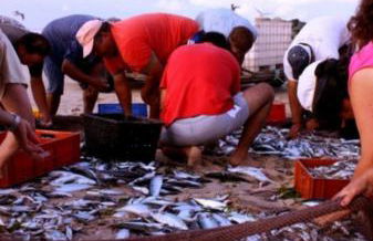 Palheiro da Tocha - Foto 18