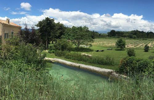 La Magnanerie - Foto 15