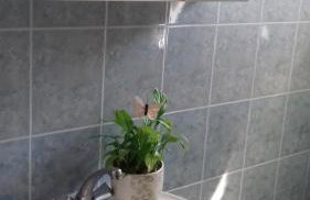 Apartment Anna - Foto 22