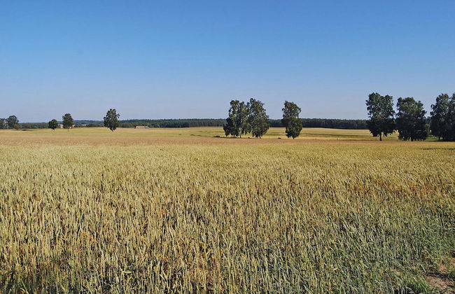 Holiday Home in Sieciemin Near Baltic Coast - Photo 40