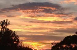 Domki Brzozówka w Bieszczadach - Foto 51