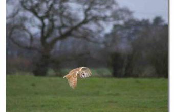 Newton Hall Farm cottage, hot tub garden views Nr Lytham Ribby - Foto 10