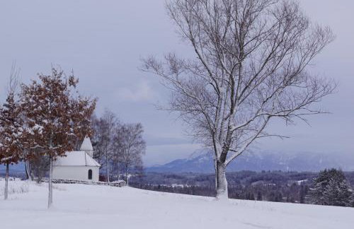 Gemütliches Haus mit Sauna im Voralpenland - Foto 31