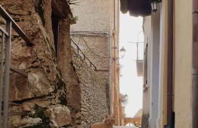 Le Sorelle - casa vacanze - Foto 41