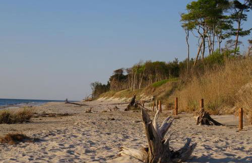 Landhaus Darss - Foto 23