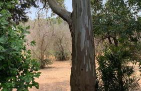 Tenuta Sidore - Foto 100