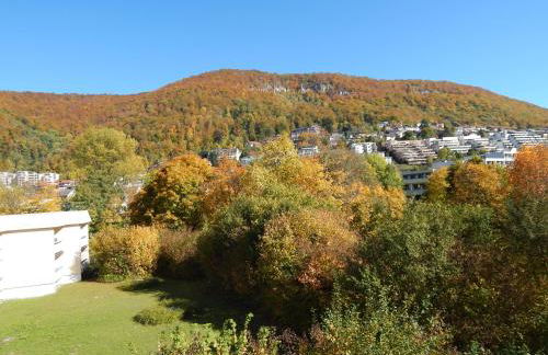 FREE Apartment - Bei den Thermen - Foto 61