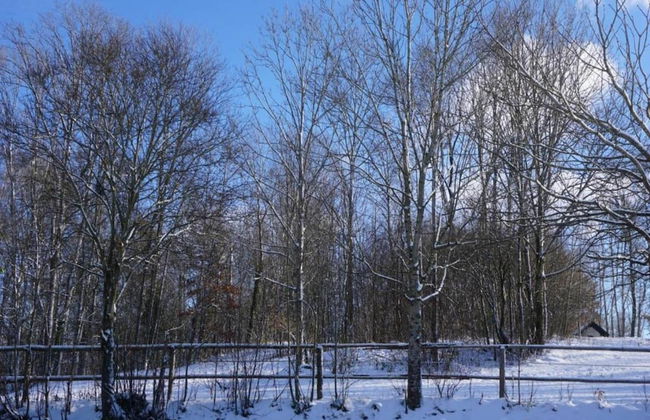 Apartment With Swimming Pool - Foto 35