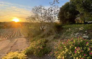 Masía entre viñedos y mar - Foto 39