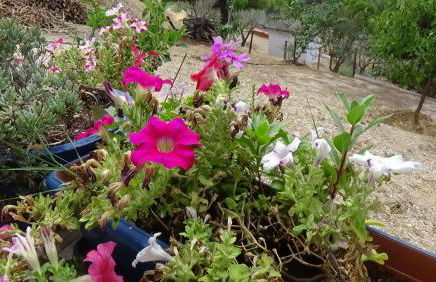 Alexandros Apartments - Foto 29