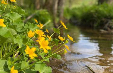 Ferienwohnung Schloss Heldritt - Foto 14