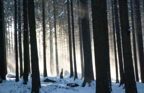 Ferienhaus Jägerhaus Oppach Alleinlage mit See - Foto 60