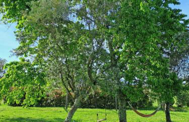 Quinta do Santinho - Foto 36