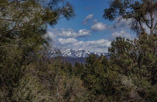 Cozy Cub Cabin, brand new home near Yosemite - Foto 34