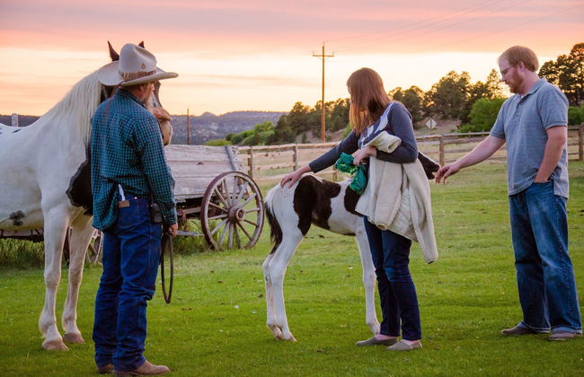 Zion Mountain Ranch - Foto 37