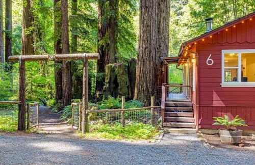 Caz Cabin 6 - Foto 31