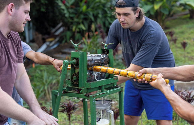 Cabañas Caeli Rainforest Glass Cabin La Perezosa La Fortuna - Foto 41