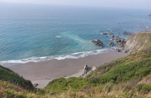 Trewebster - Photo 38