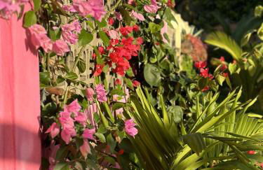 Pousada dos Sonhos - Photo 67