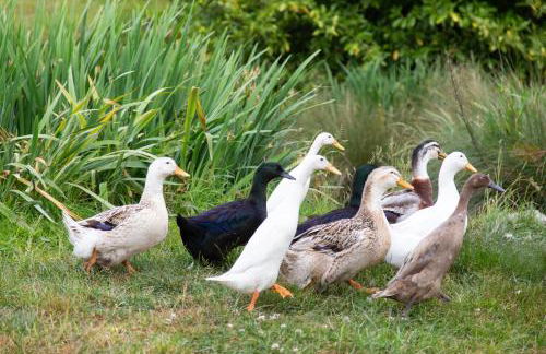 Upper Vobster Farm - Foto 20