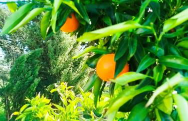 Cosy Home by l'Arche de Jo - Foto 19