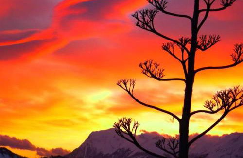 Relaxing Retreat in Le Marche - Foto 52