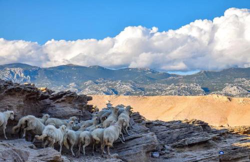 4REST VILA - Photo 22