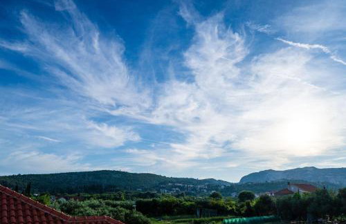 Olive Family house - Photo 48