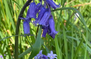 Trefechan Wen Barn - Photo 24
