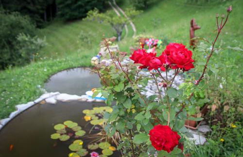 Baita Agaz - Foto 11