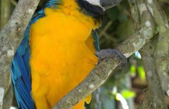 Casa espaçosa famíliar - Foto 25