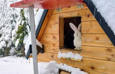 Beskidzka Ostoja - Foto 58