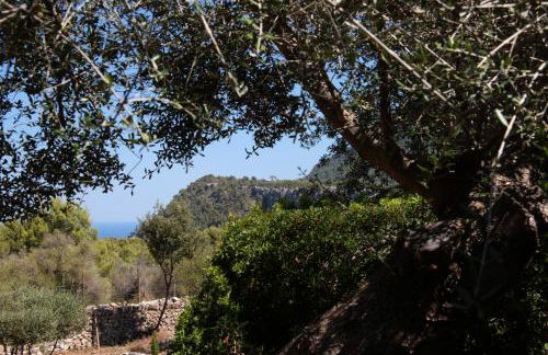 Ca's Garriguer Agroturismo - Foto 89