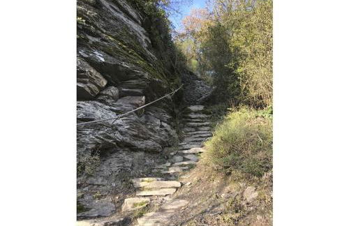 Holiday home in Bullay with sauna - Foto 42