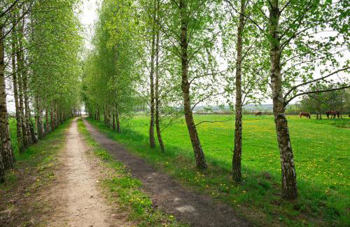 Pensjonat nad Płaskim - Foto 25