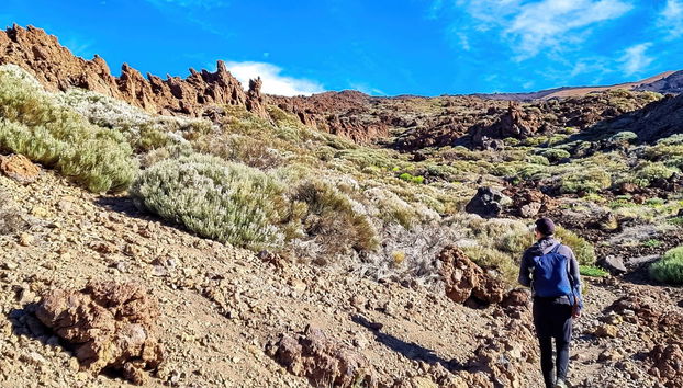 Entrada al teleférico del Teide + Senderismo al pico - Foto 3