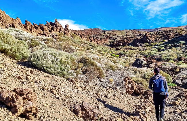 Entrada al teleférico del Teide + Senderismo al pico - Foto 3