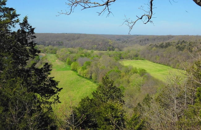 Rock Eddy Bluff Farm - Photo 41