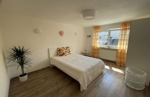 Erlachoase - Photo 4