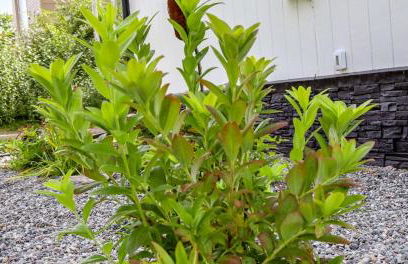 The Nook At Big Lake AK - Foto 37