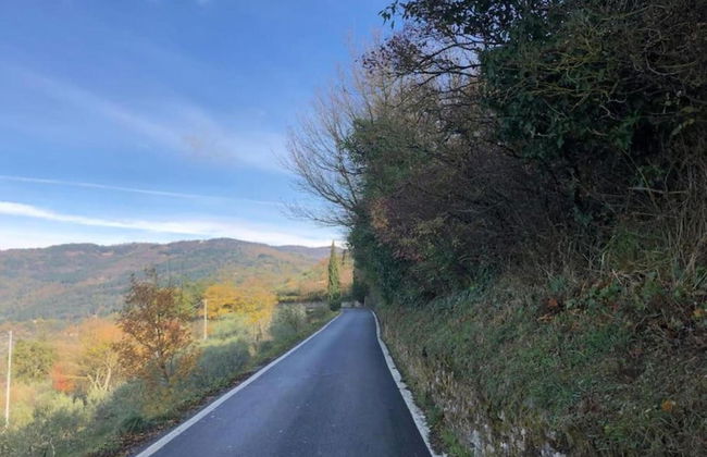 Farmhouse in Tuscany With Pool and Hill Views - Photo 30
