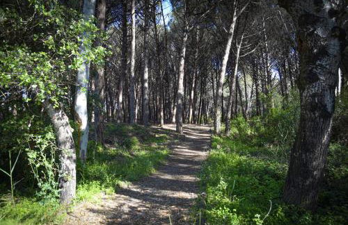 La Laura di Paestum - case vacanze - Foto 8