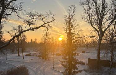 Pałac Zdunowo - Foto 33