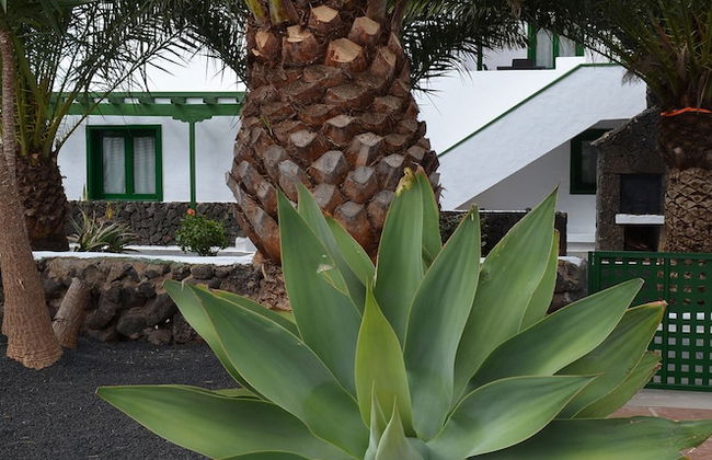 Casa del Erizo - Ecofinca - Foto 55